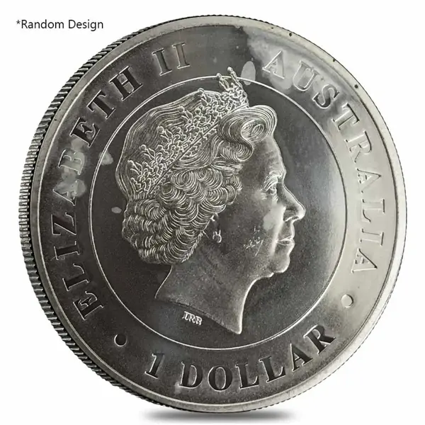 Default 1 oz Silver Coin Random Mint .999+ Fine (Milky, Scruffy, Toned)