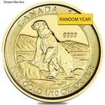 1/10 oz Canadian Polar Bear Gold Coin BU (Random Year)