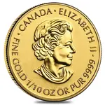 1/10 oz Gold Canada Special Service Force $5 Coin BU (Random Year)