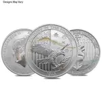 Default 1/2 oz Silver Coin Random Mint (Milky, Scruffy, Toned)