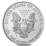 1 oz Burnished Silver American Eagle In Cap (Random Year)