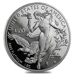 1 oz Proof Platinum American Eagle (Random Year, w/Box & COA)