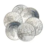 American 1 oz Silver American Eagle (Cull, Damaged, Circulated, Cleaned)