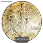 1 oz Silver American Eagle (Cull, Damaged, Circulated, Cleaned)