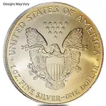 1 oz Silver American Eagle (Cull, Damaged, Circulated, Cleaned)