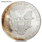 1 oz Silver American Eagle (Cull, Damaged, Circulated, Cleaned)