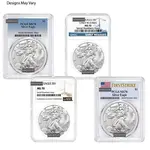 Default 1 oz Silver American Eagle NGC/PCGS MS 70 (Random Year)