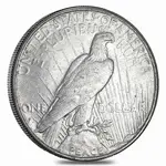 1922-1935 Peace Silver Dollar Cull (Random Year)