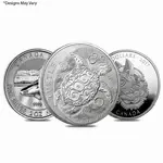 Default 2 oz Silver Coin Random Mint .999+ Fine BU/Proof