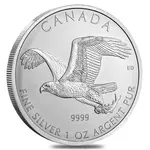 Default 2014 1 oz Silver Canadian Bald Eagle - Birds of Prey Series BU