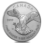 Default 2014 1 oz Silver Canadian Peregrine Falcon - Birds of Prey Series BU