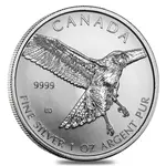 Default 2015 1 oz Silver Canadian Red-Tailed Hawk - Birds of Prey Series BU