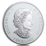 2019 3/4 oz Canadian Wild Horse Reverse Proof Silver Coin .9999 Fine
