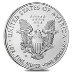 2020-W 1 oz Burnished Silver American Eagle (w/Box & COA)