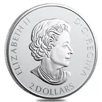 2021 3/4 oz Canadian Great Horned Owl Reverse Proof Silver Coin .9999 Fine