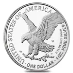 2022-W 1 oz Proof Silver American Eagle (w/Box & COA)