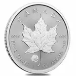 2024 Canada 1 oz Treasured Silver Maple Leaf Polar Bear Privy Coin First Strikes