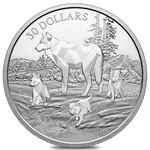 2024 Canada 2 oz Silver Timber Wolves Multifaceted Coin