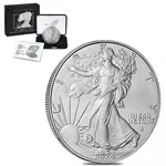 Default 2024-W 1 oz Burnished Silver American Eagle (w/Box & COA)