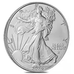 2024-W 1 oz Burnished Silver American Eagle (w/Box & COA)