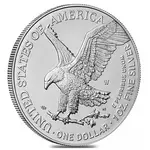 2024-W 1 oz Burnished Silver American Eagle (w/Box & COA)
