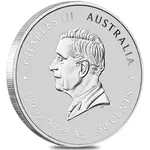 2025 1/2 oz Silver Lunar Snake BU Australian Perth Mint