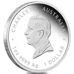 2025 1 oz One Love Proof Silver Coin Australian Perth Mint