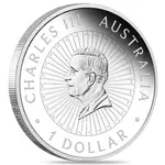 2025 1 oz Proof Silver Great Southern Land Snakeskin Jasper Coin Perth Mint