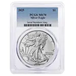 Default 2025 1 oz Silver American Eagle PCGS MS 70