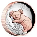 2025 5 oz Australian Koala Proof Gilded Silver Coin Perth Mint