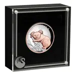 2025 5 oz Australian Koala Proof Gilded Silver Coin Perth Mint