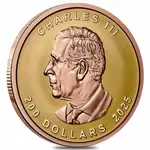 2025 Canada 1 oz Gold Maple Leaf Ultra High Relief Coin .9999 Fine