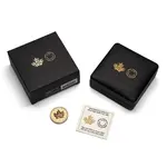 2025 Canada 1 oz Gold Maple Leaf Ultra High Relief Coin .9999 Fine