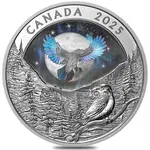 2025 Canada 1 oz Moon Sky - Raven Silver Coin .9999 Fine