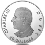 2025 Canada 1 oz Moon Sky - Raven Silver Coin .9999 Fine