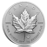 2025 Canada 10 Kilo Silver Maple Leaf Coin .9999 Fine