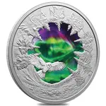 2025 Canada 2 oz Magic of the Northern Lights Silver Coin