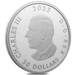 2025 Canada 2 oz Magic of the Northern Lights Silver Coin