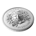 2025 Canada 70 Gram Heraldic Bear Silver Coin .9999 Fine