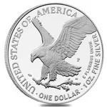 2025-P Marine Corps 1 oz Proof Silver American Eagle (w/Box & COA)