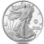 2025-S Navy 1 oz Proof Silver American Eagle (w/Box & COA)