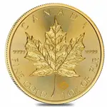 Roll of 10 - 2024 1 oz Canadian Gold Maple Leaf $50 Coin BU
