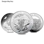 Default Somalia 10 oz Silver African Elephant Coin BU (Random Year)