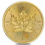 Tube of 10 - 2026 1 oz Canadian Gold Maple Leaf $50 Coin BU